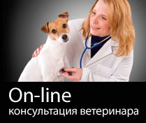 Online ������������ ����������