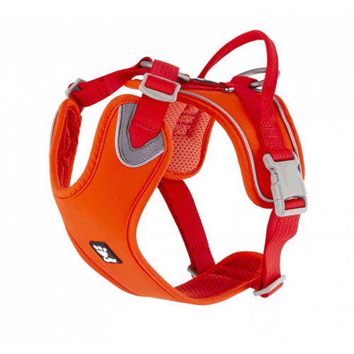 [94647] 933433 Hurtta Weekend Warrior ECO ����� ������ ��� �����, ���� ����, ������ 100-120 ��